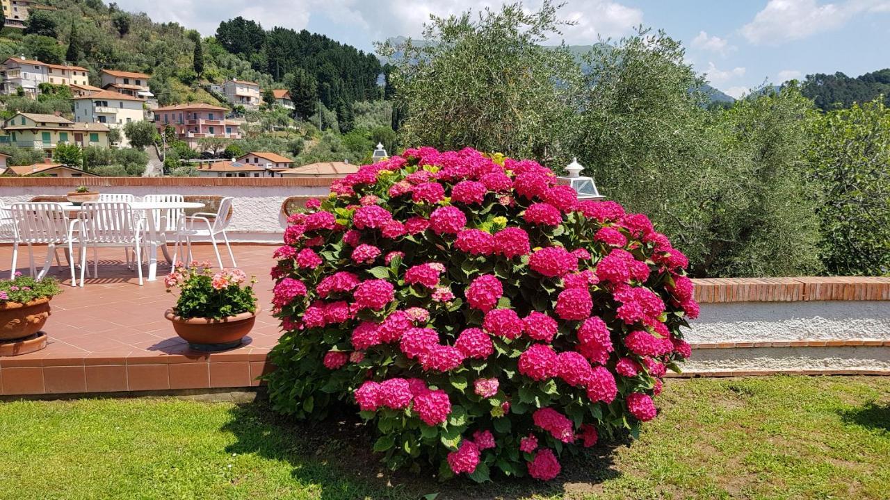 Casa Vittoria Villa Corsanico-Bargecchia Exterior foto